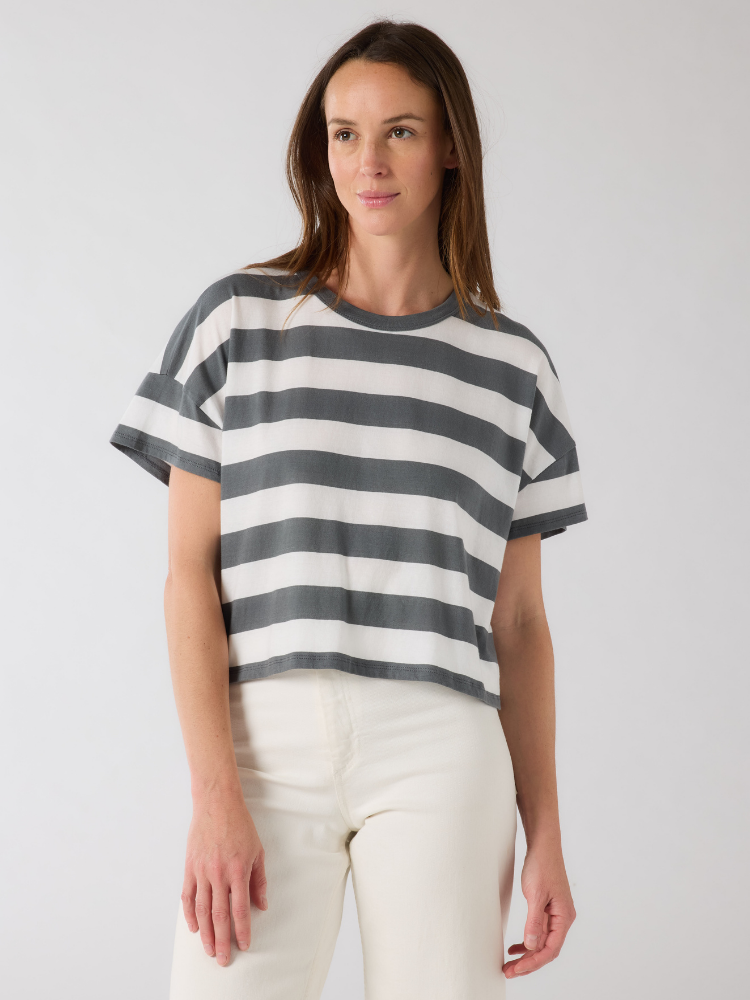 Cropped Stripe T-shirt  GREY/WHITE