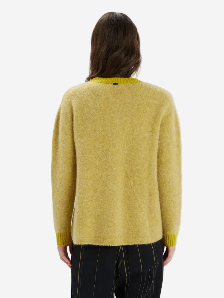 Person wearing a mustard yellow sweater on a white background