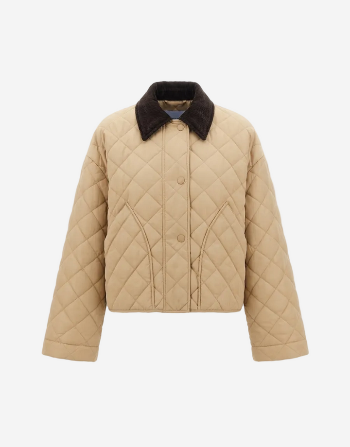 Beige quilted jacket with dark collar on a white background