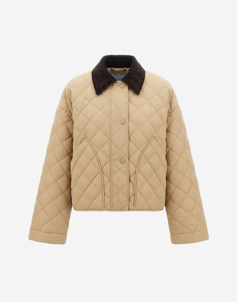 Beige quilted jacket with dark collar on a white background